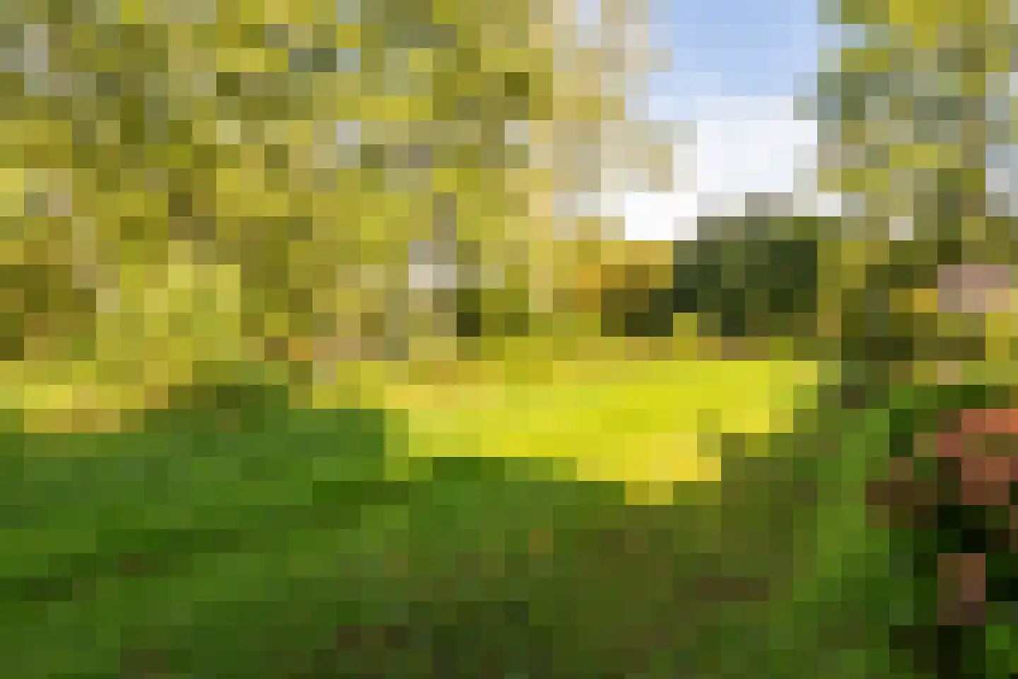 Dingspel 42 Zuidwolde thumbnail 54
