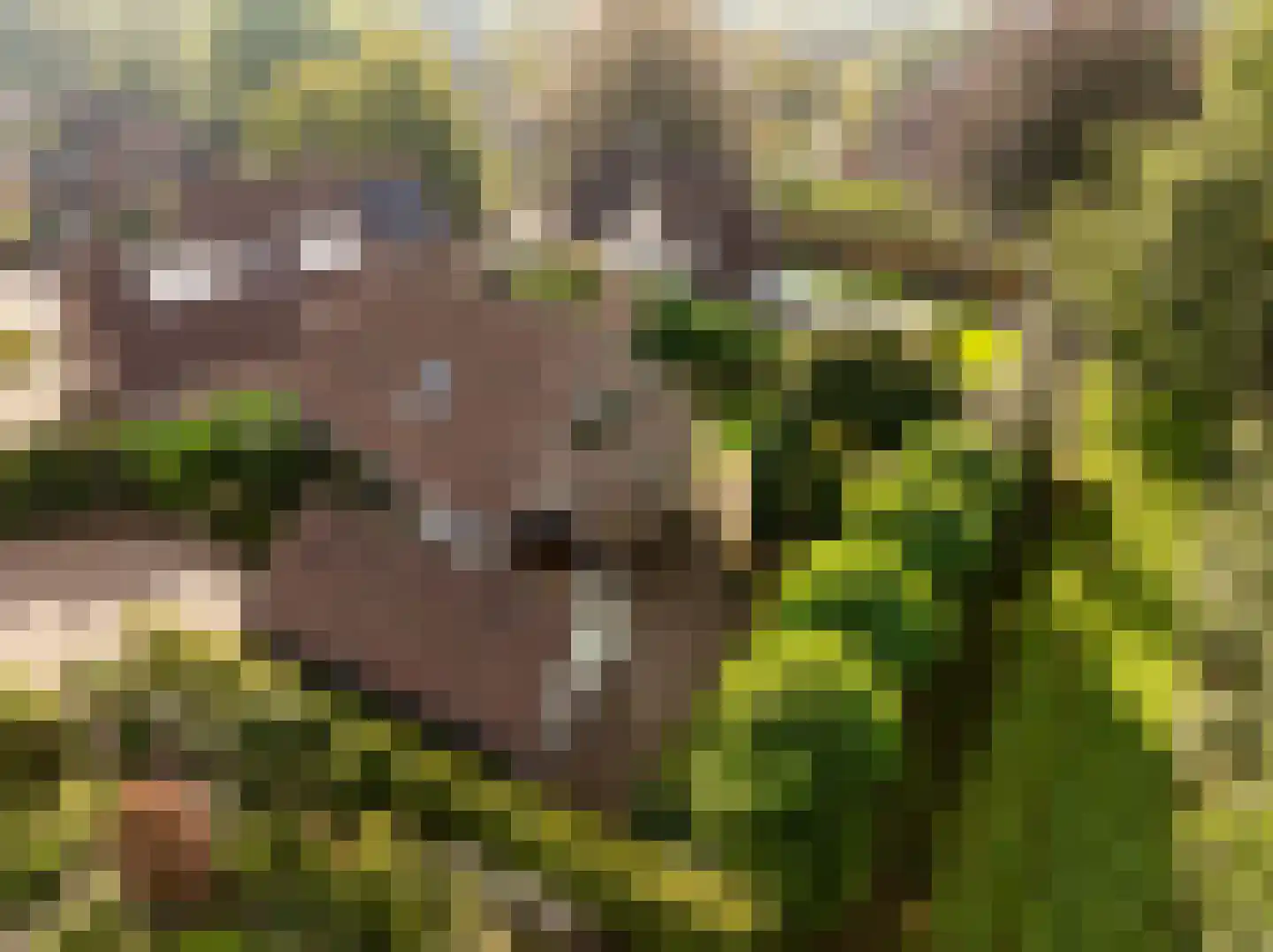 Dingspel 42 Zuidwolde thumbnail 55