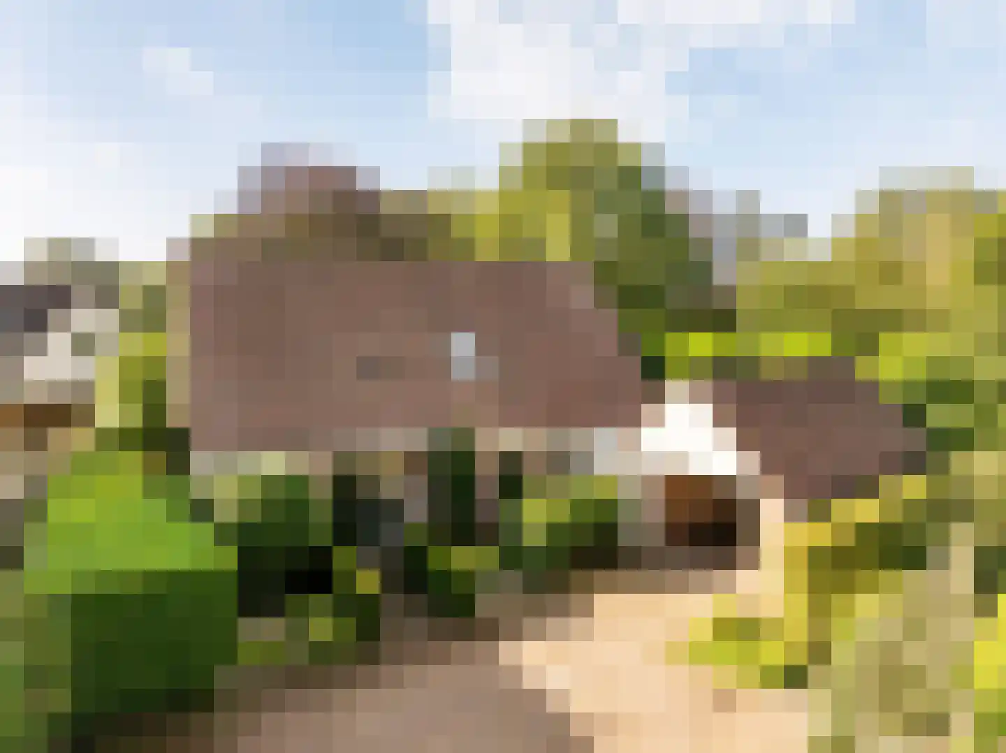 Dingspel 42 Zuidwolde thumbnail 57