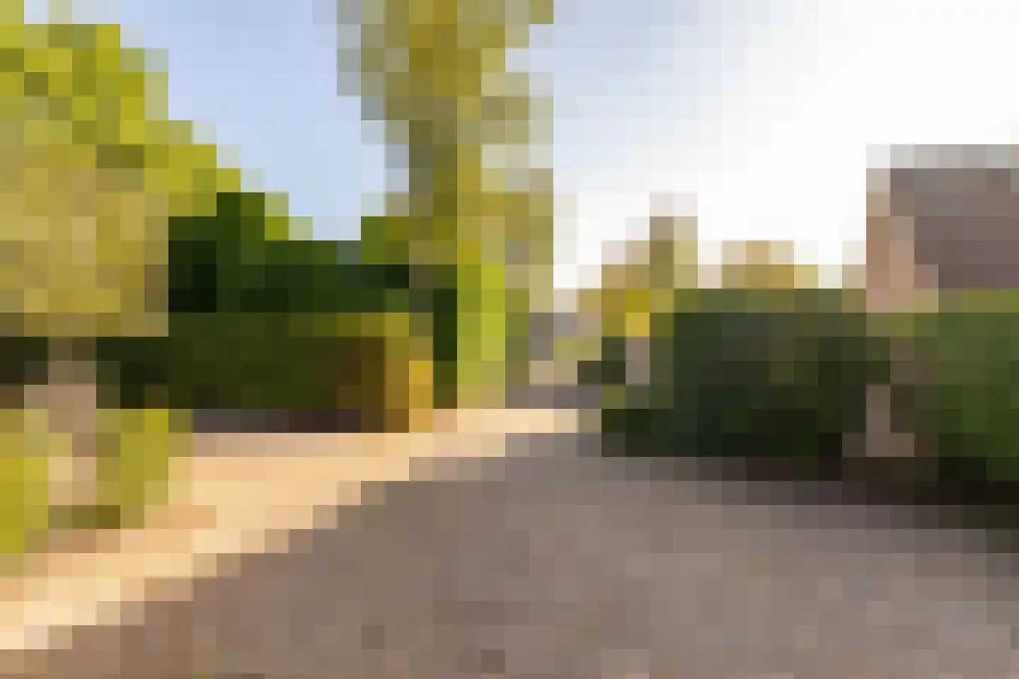 Dingspel 42 Zuidwolde thumbnail 58