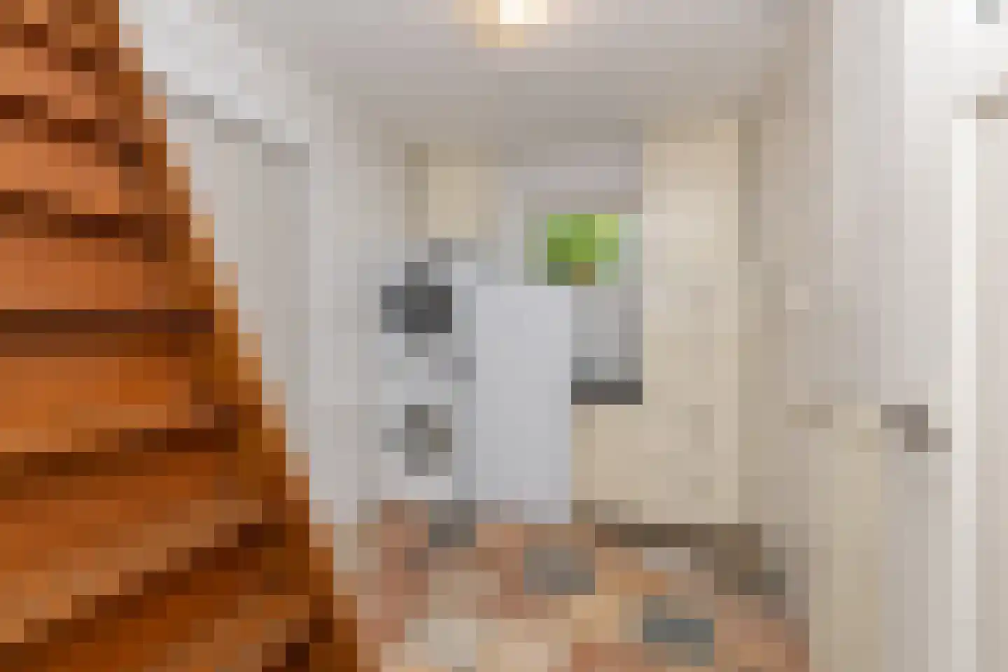 Dingspel 9 Zuidwolde thumbnail 17