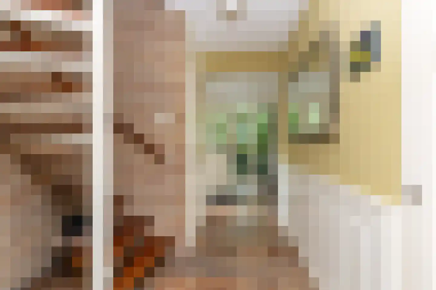 Dingspel 9 Zuidwolde thumbnail 26