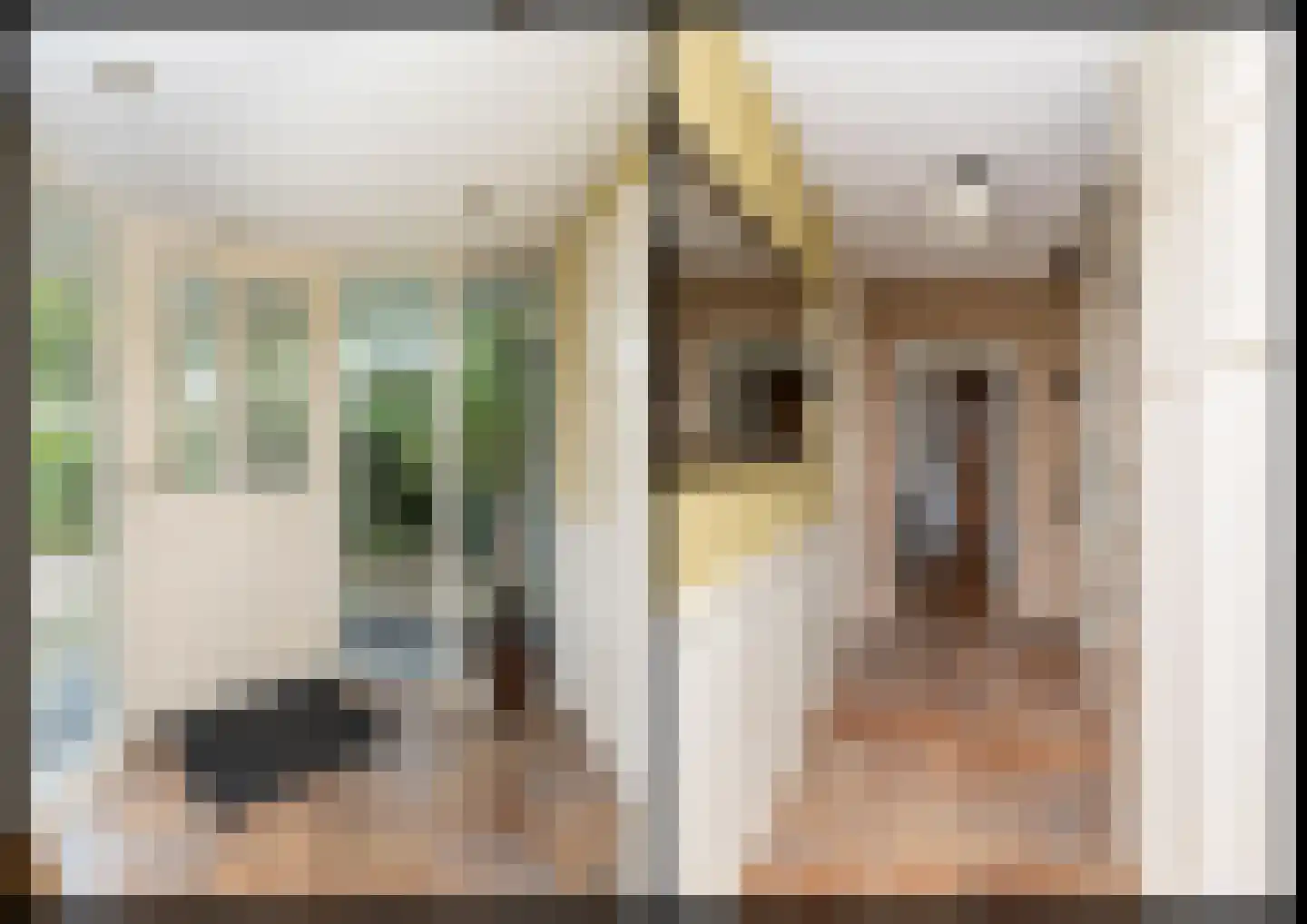 Dingspel 9 Zuidwolde thumbnail 27