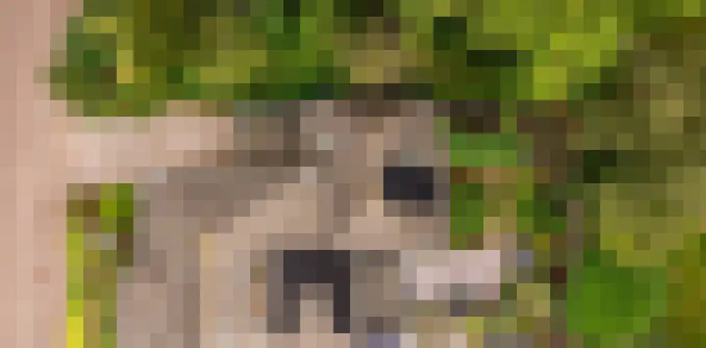 Dingspel 9 Zuidwolde thumbnail 43