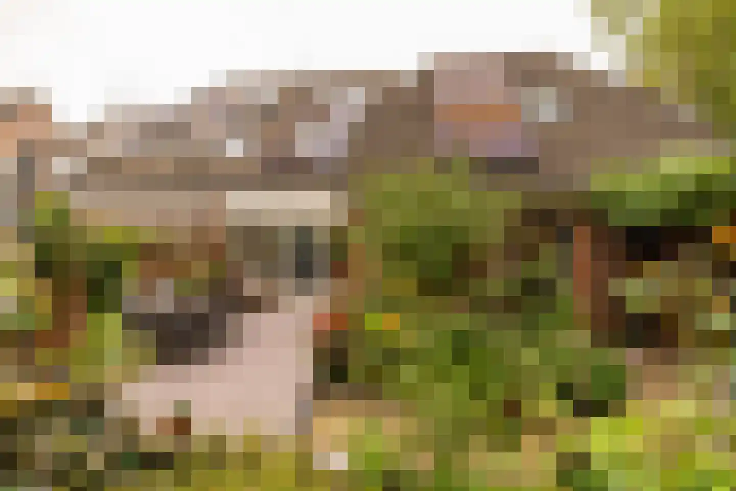 Dingspel 9 Zuidwolde thumbnail 45