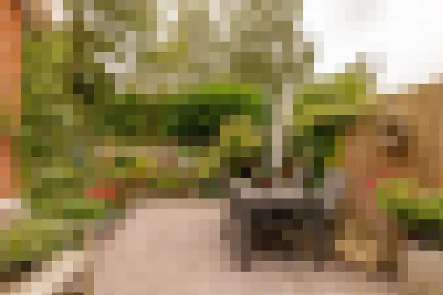 Dingspel 9 Zuidwolde thumbnail 47