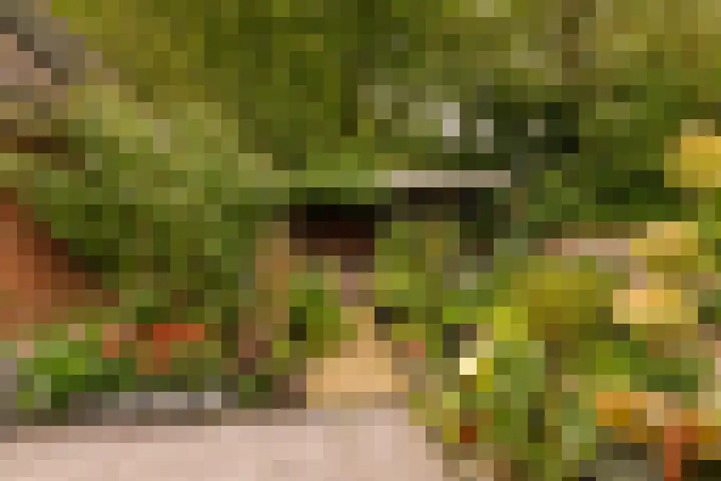 Dingspel 9 Zuidwolde thumbnail 48