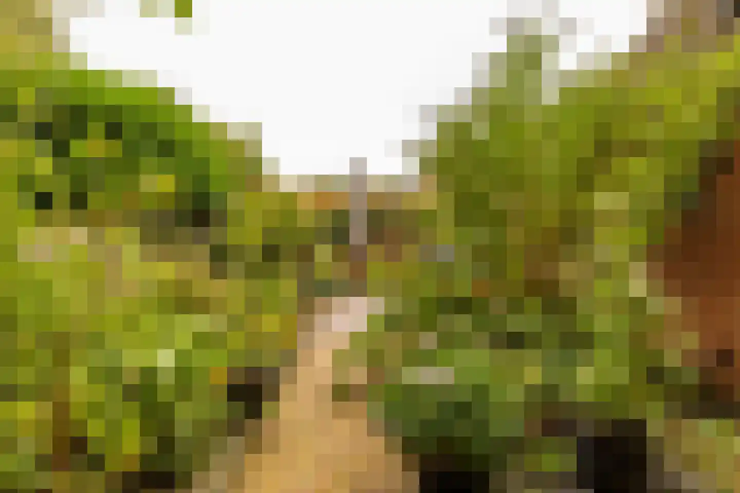 Dingspel 9 Zuidwolde thumbnail 49
