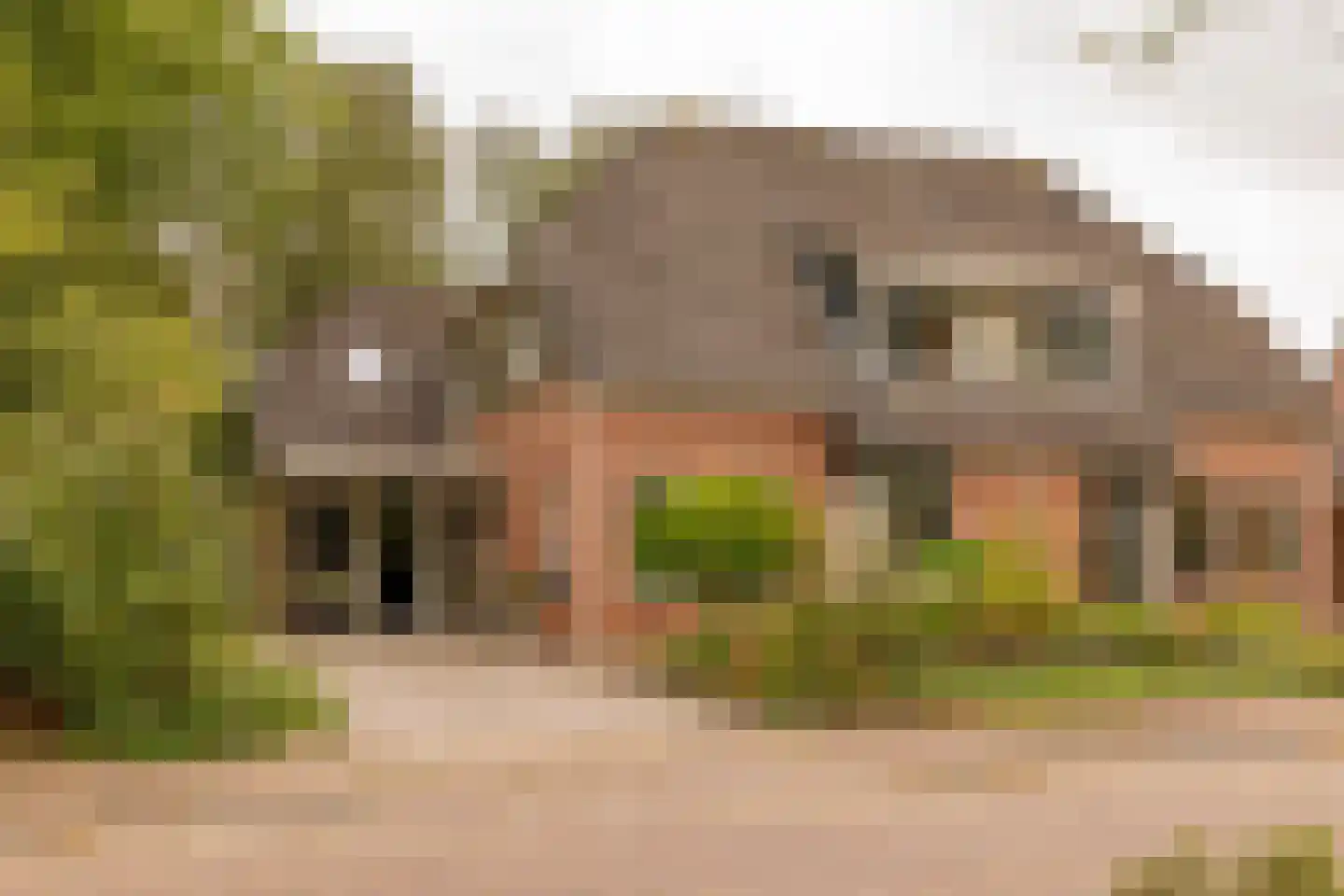 Dingspel 9 Zuidwolde thumbnail 5