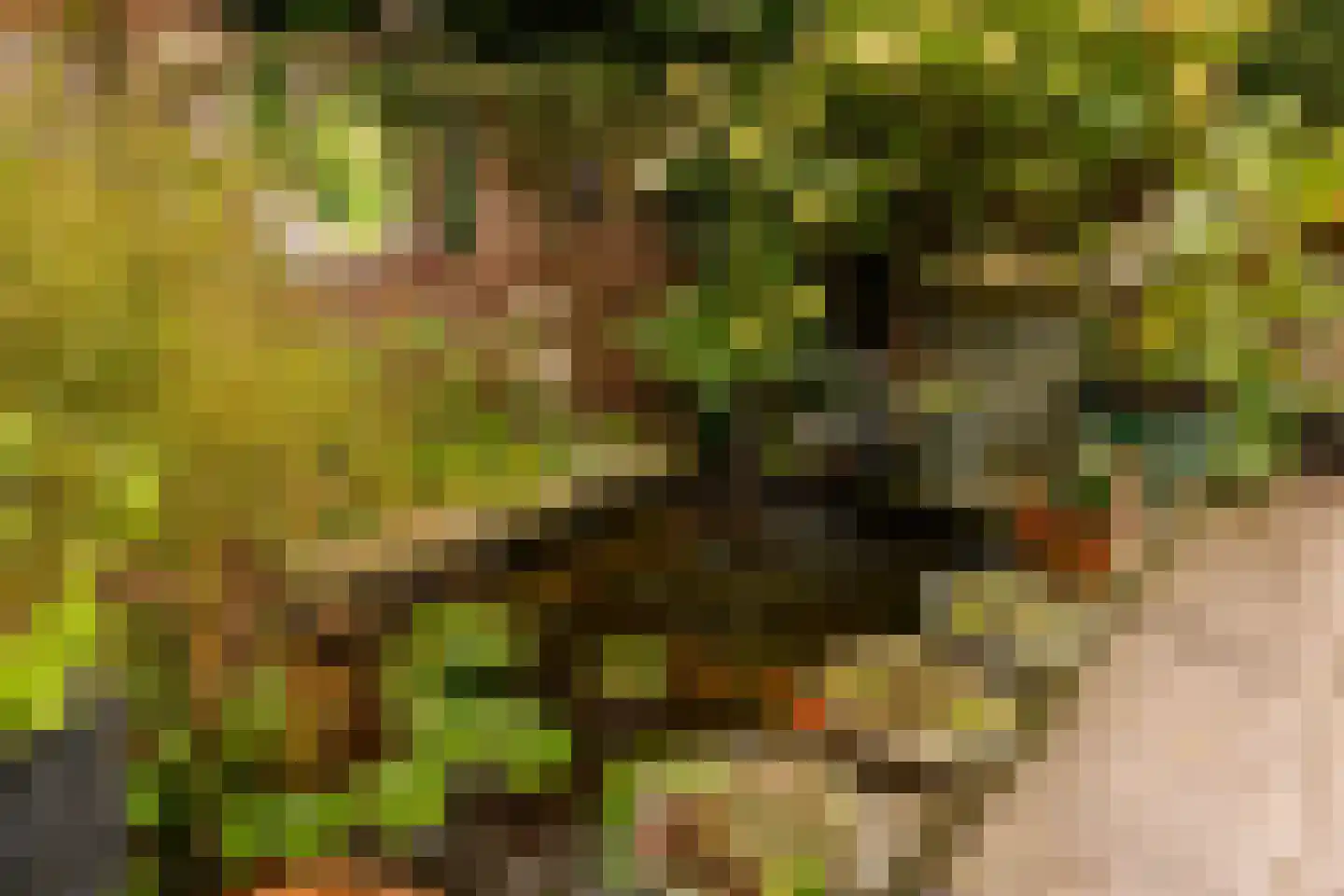 Dingspel 9 Zuidwolde thumbnail 50