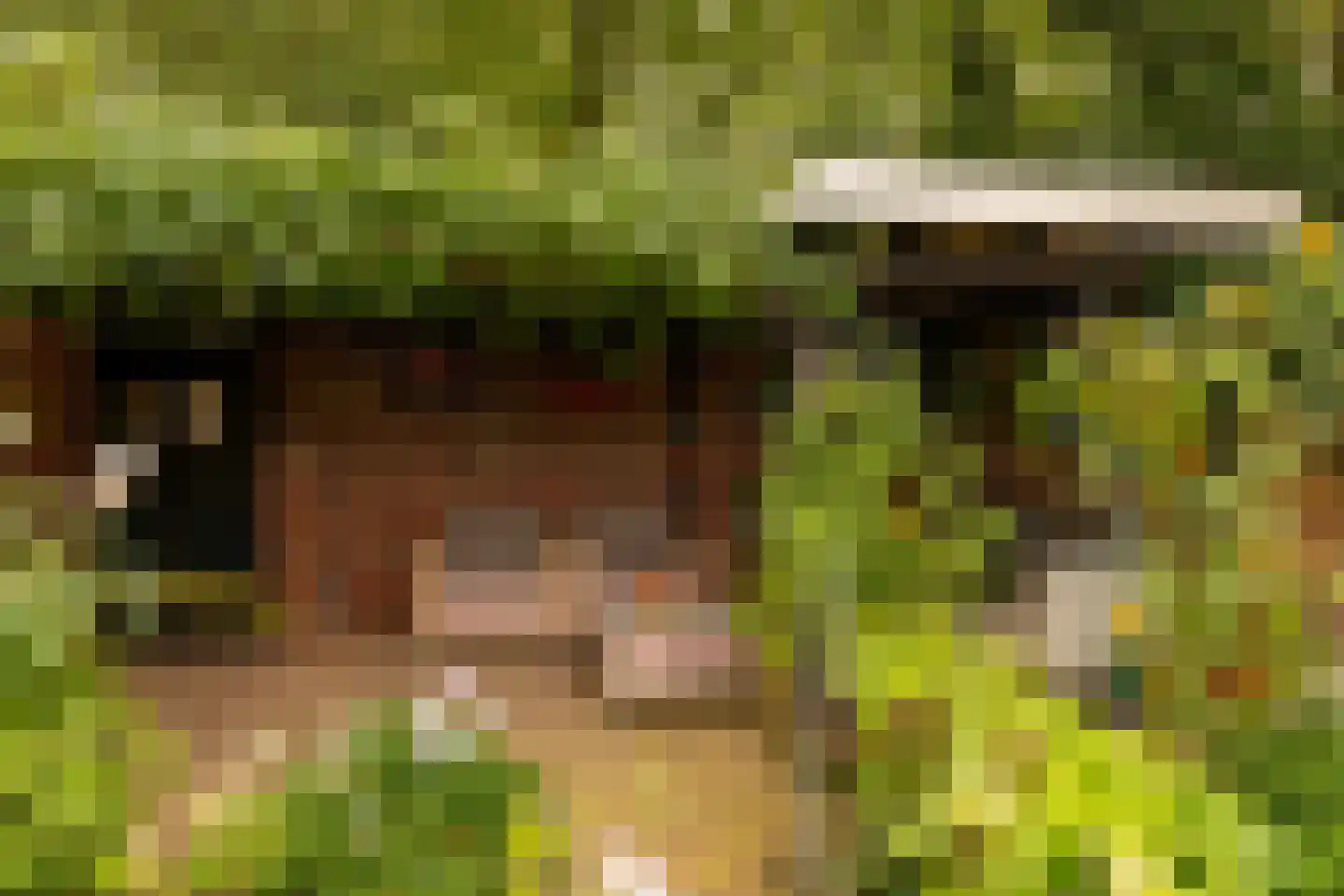 Dingspel 9 Zuidwolde thumbnail 51