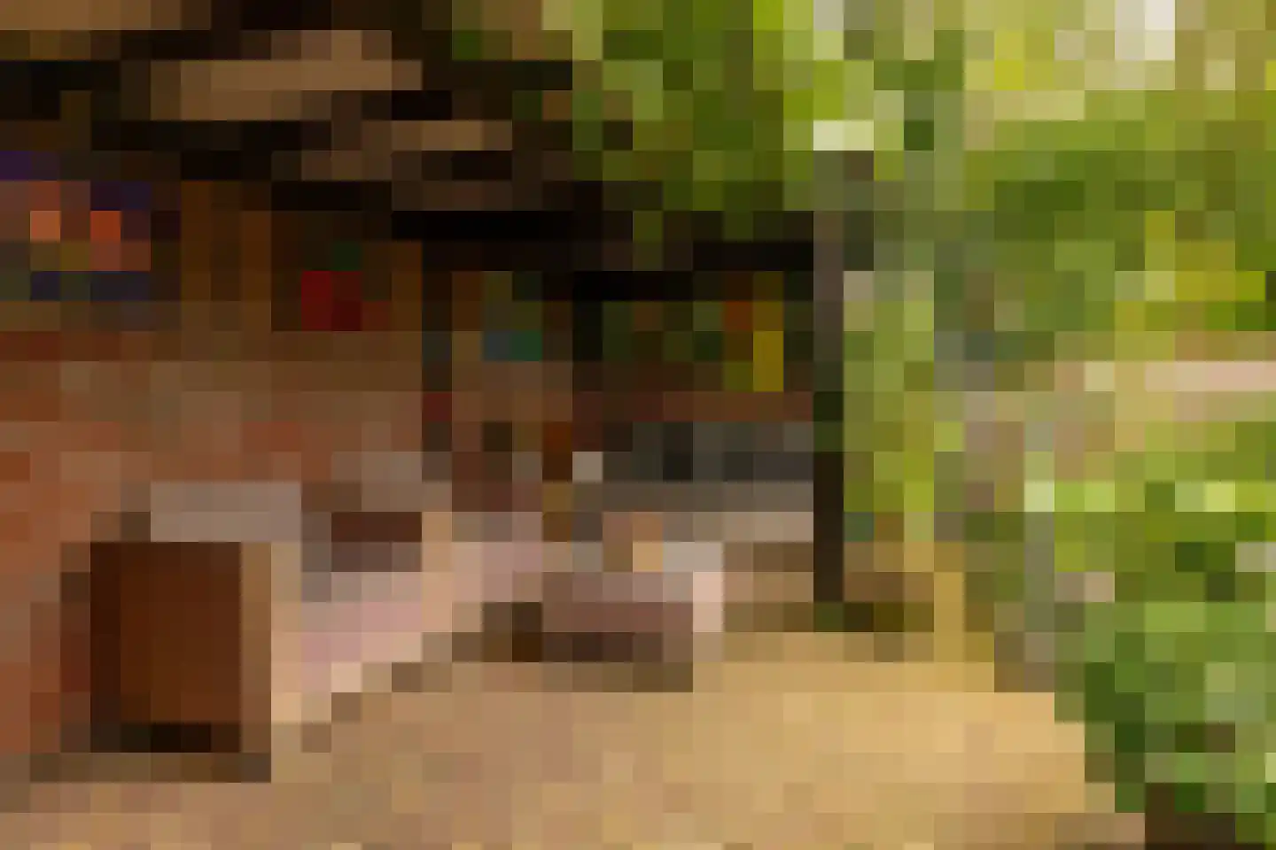Dingspel 9 Zuidwolde thumbnail 52