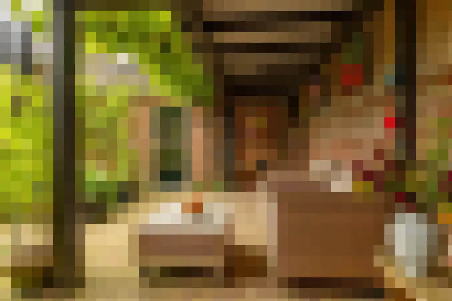 Dingspel 9 Zuidwolde thumbnail 53