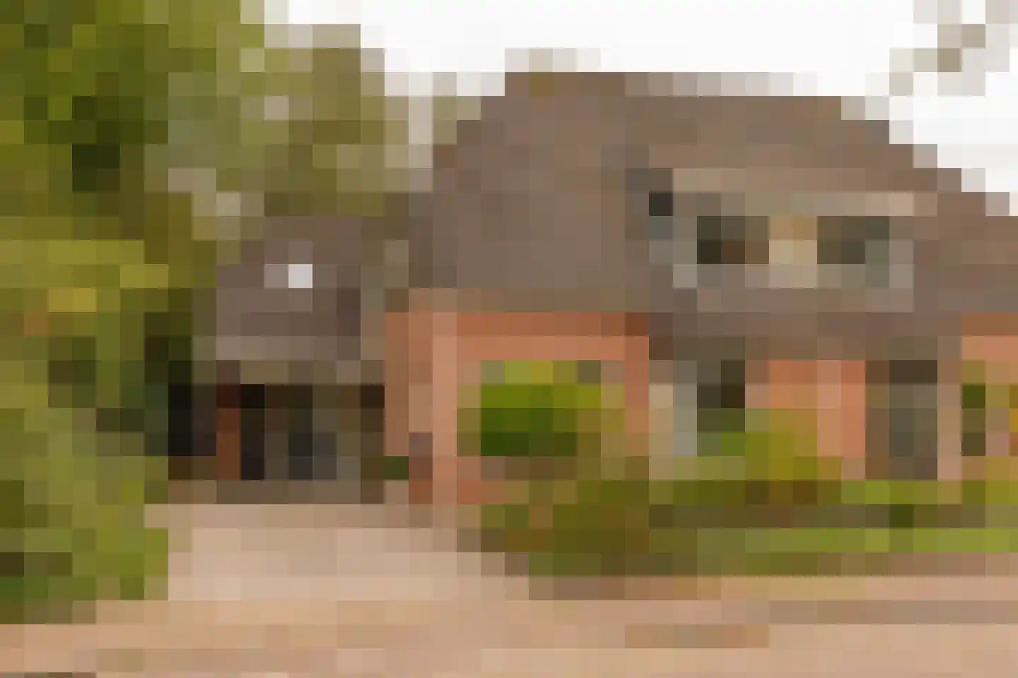 Dingspel 9 Zuidwolde thumbnail 54