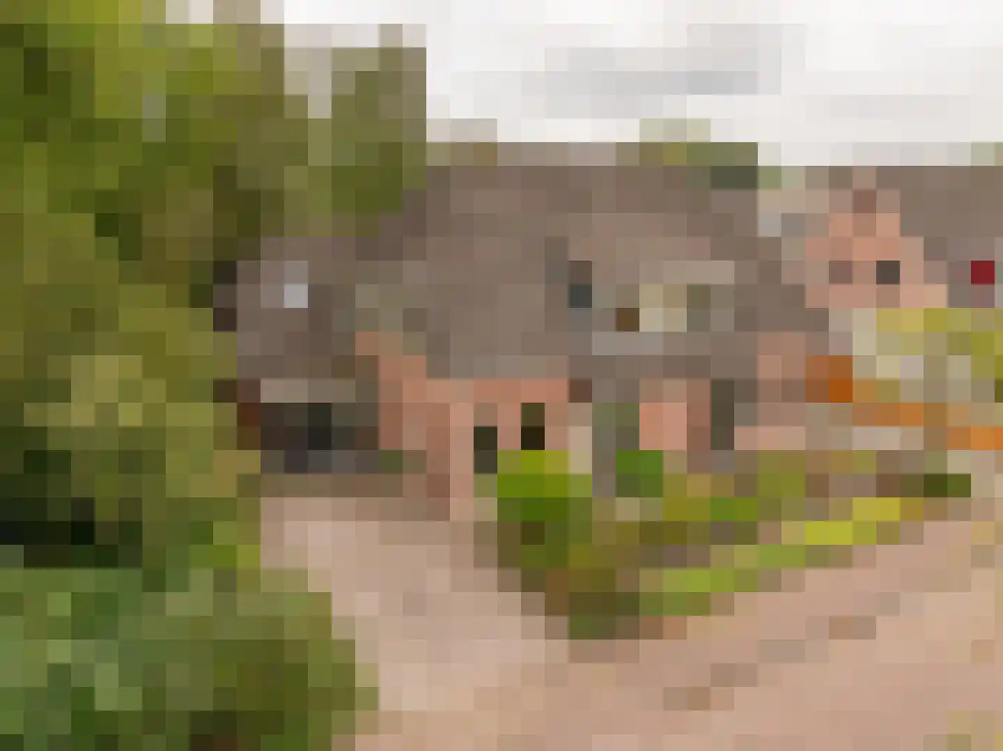 Dingspel 9 Zuidwolde thumbnail 55