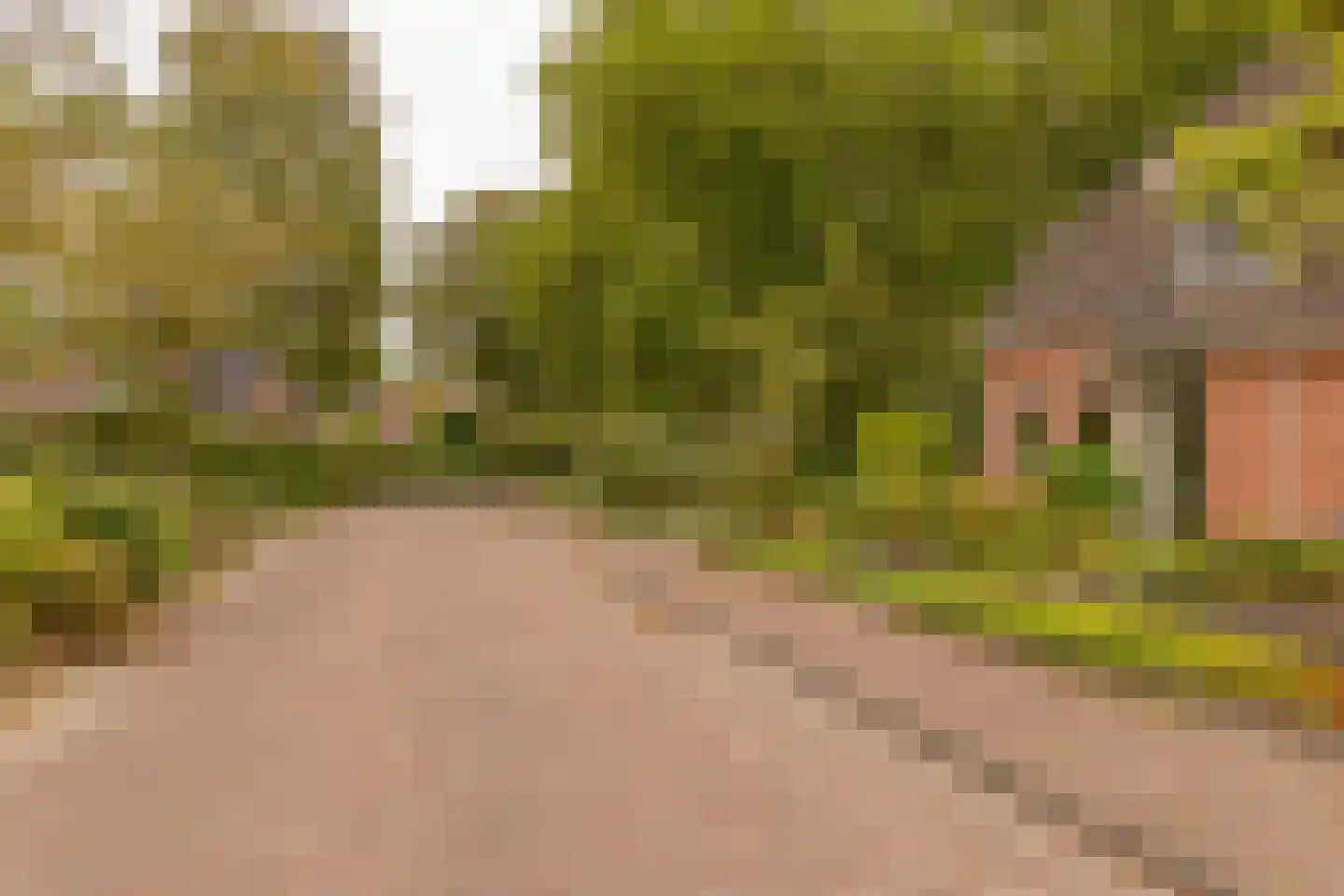 Dingspel 9 Zuidwolde thumbnail 56