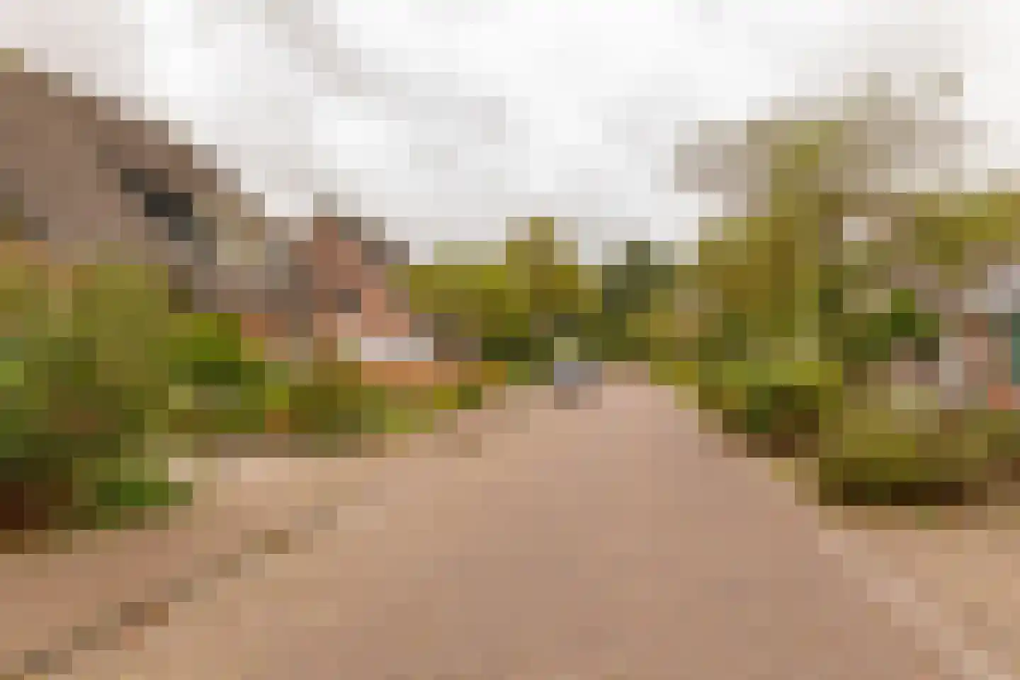 Dingspel 9 Zuidwolde thumbnail 57