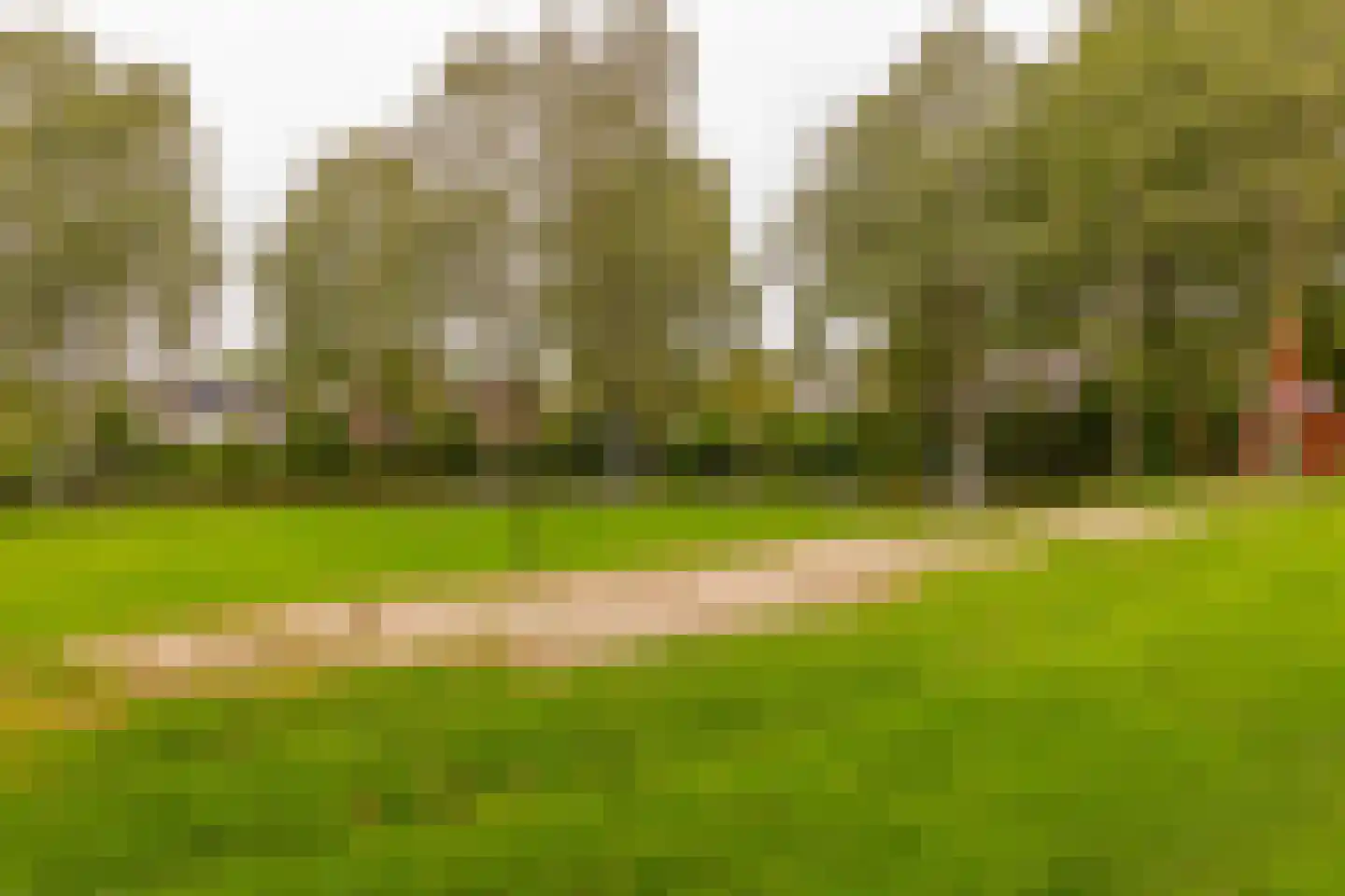 Dingspel 9 Zuidwolde thumbnail 58
