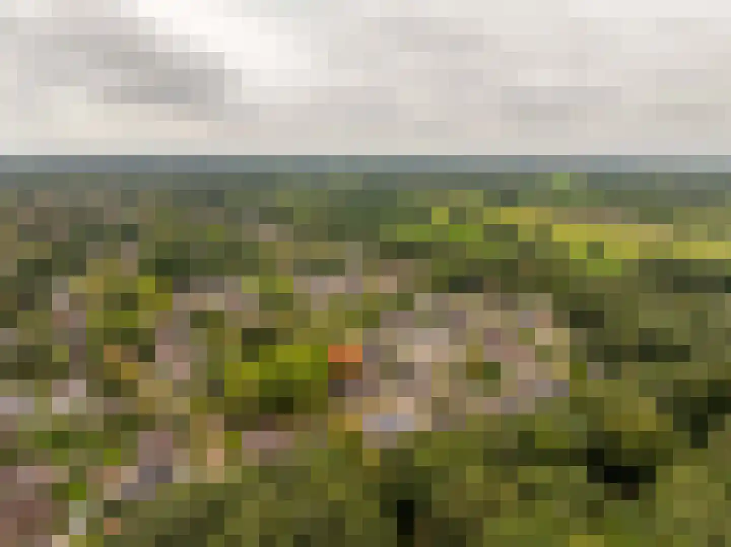 Dingspel 9 Zuidwolde thumbnail 59