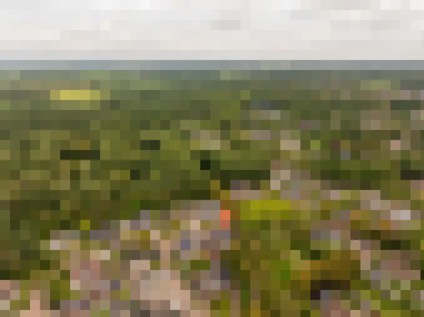 Dingspel 9 Zuidwolde thumbnail 60