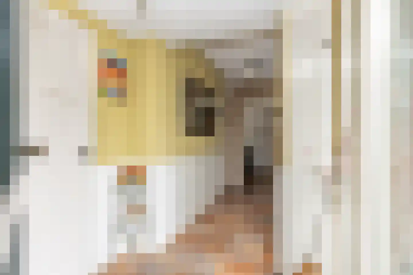 Dingspel 9 Zuidwolde thumbnail 7