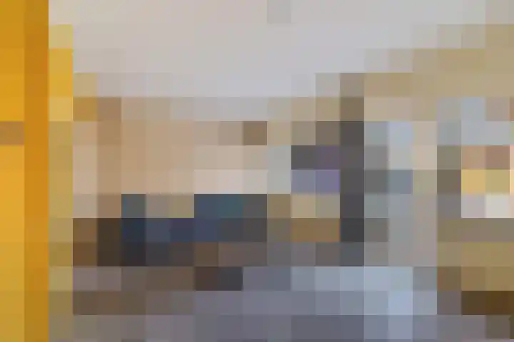 Dingspellaan 11 Emmen thumbnail 11