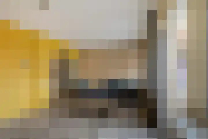 Dingspellaan 11 Emmen thumbnail 12
