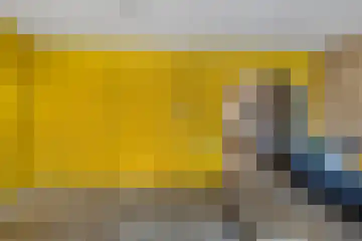 Dingspellaan 11 Emmen thumbnail 13
