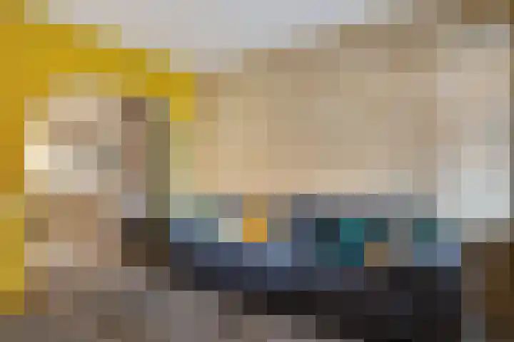 Dingspellaan 11 Emmen thumbnail 14