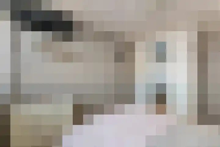 Dingspellaan 11 Emmen thumbnail 17