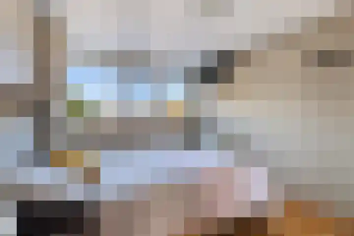 Dingspellaan 11 Emmen thumbnail 18