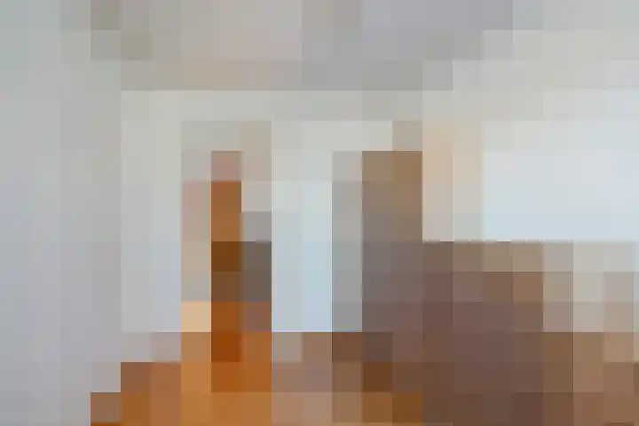 Dingspellaan 11 Emmen thumbnail 20