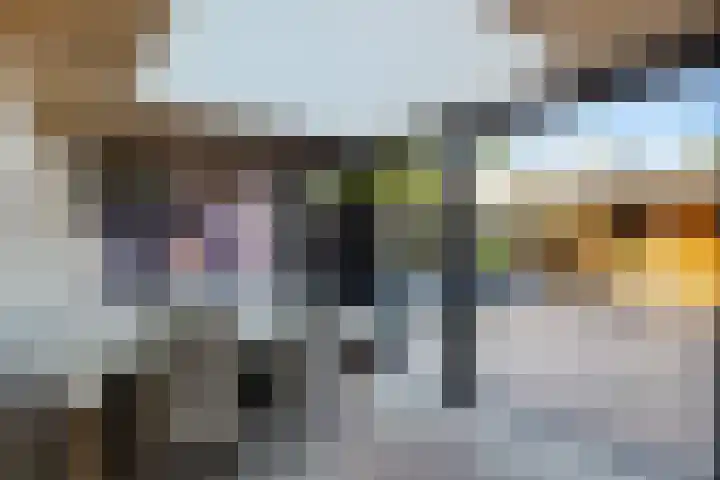 Dingspellaan 11 Emmen thumbnail 26