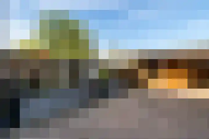 Dingspellaan 11 Emmen thumbnail 29