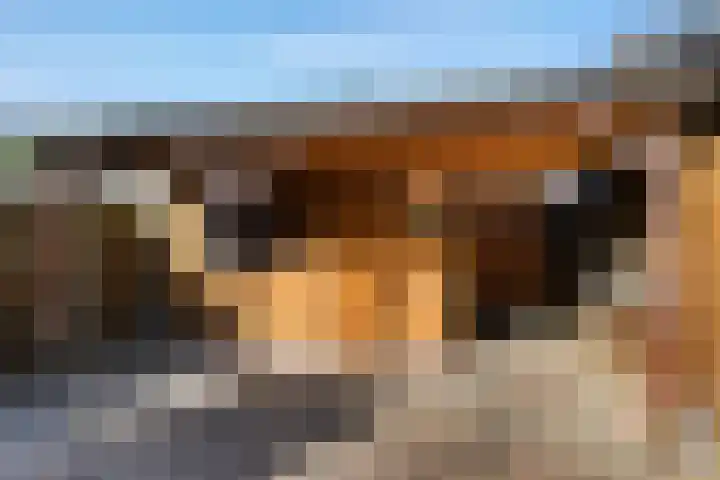 Dingspellaan 11 Emmen thumbnail 31