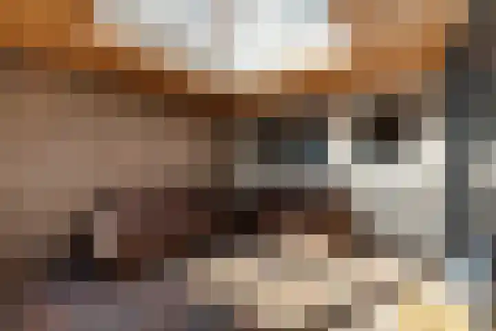 Dingspellaan 11 Emmen thumbnail 35