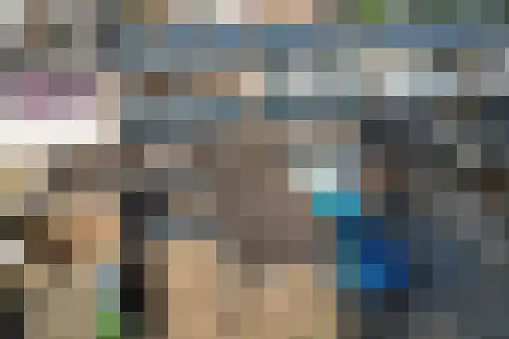 Dingspellaan 11 Emmen thumbnail 37