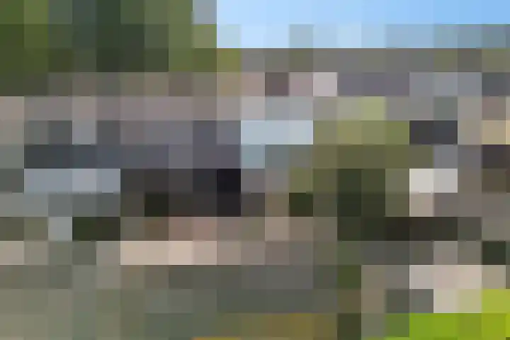 Dingspellaan 11 Emmen thumbnail 39