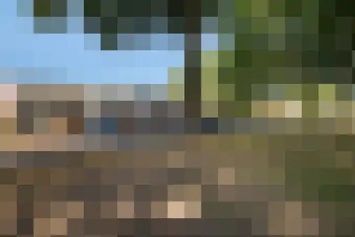 Dingspellaan 11 Emmen thumbnail 40