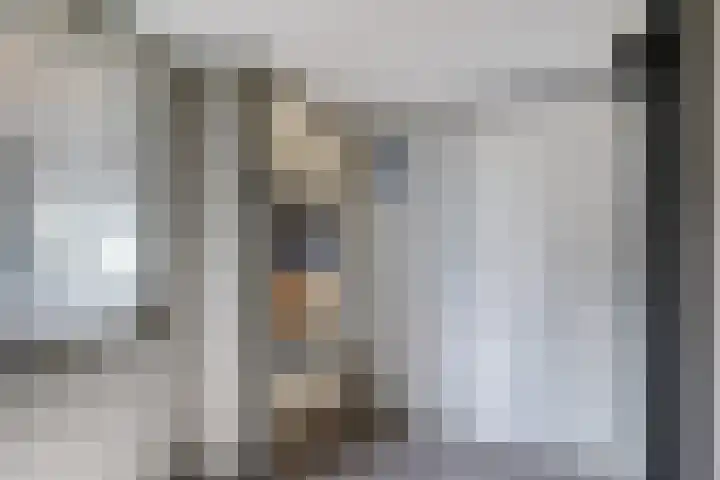 Dingspellaan 11 Emmen thumbnail 7