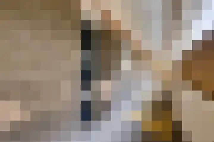 Dingspellaan 17 Zuidlaren thumbnail 10