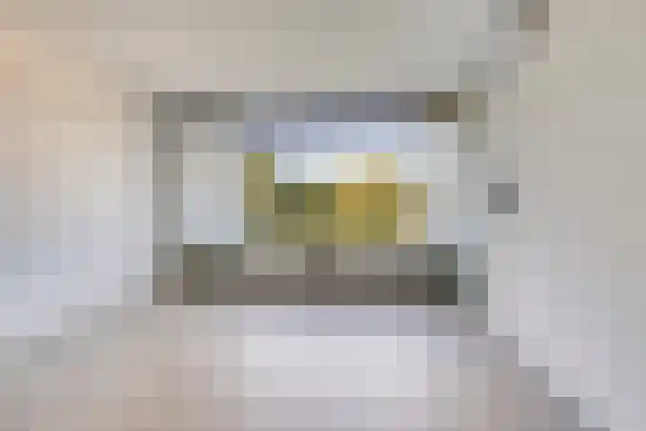 Dingspellaan 17 Zuidlaren thumbnail 13