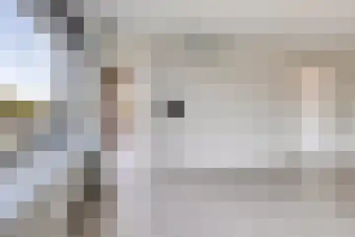 Dingspellaan 17 Zuidlaren thumbnail 14