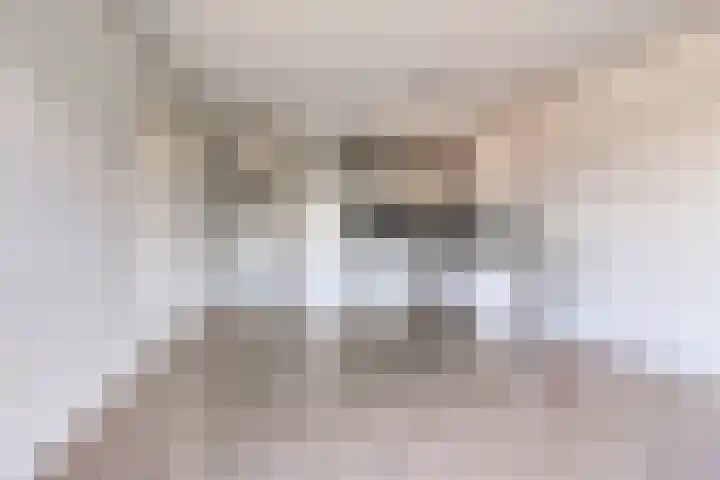 Dingspellaan 17 Zuidlaren thumbnail 15