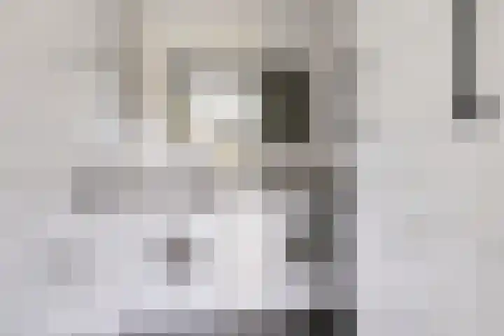 Dingspellaan 17 Zuidlaren thumbnail 21