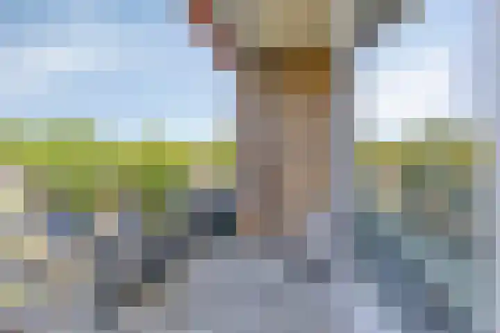 Dingspellaan 17 Zuidlaren thumbnail 25