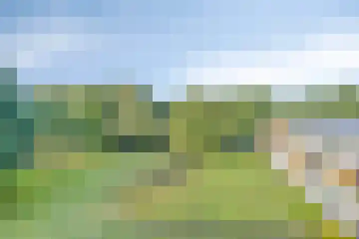 Dingspellaan 17 Zuidlaren thumbnail 26