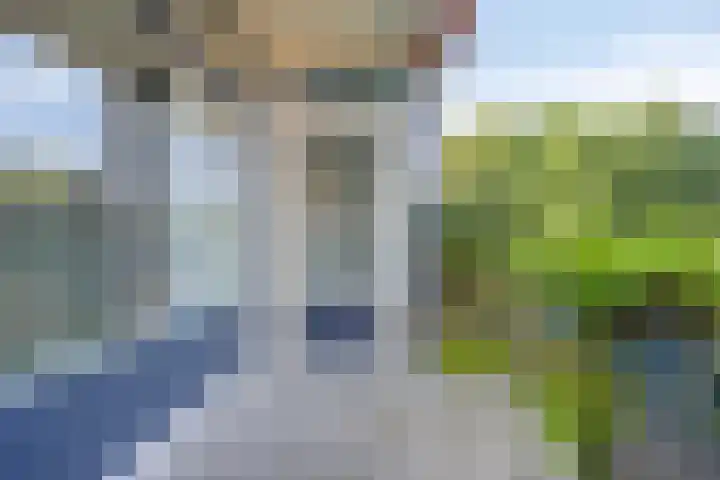 Dingspellaan 17 Zuidlaren thumbnail 27