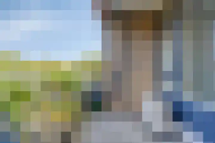 Dingspellaan 17 Zuidlaren thumbnail 28