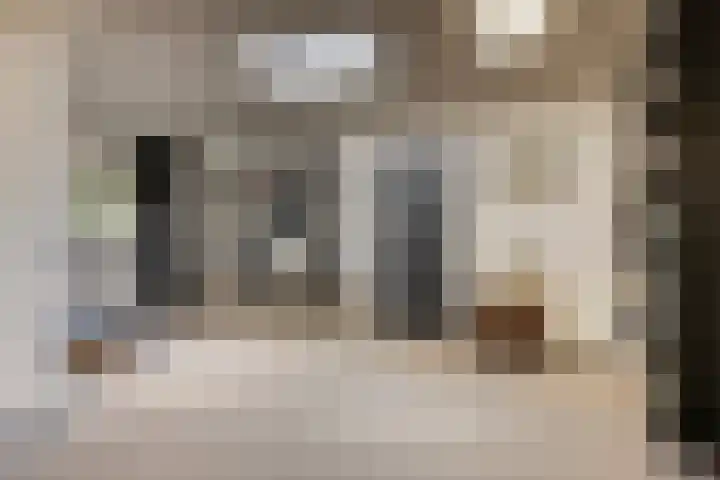 Dingspellaan 17 Zuidlaren thumbnail 8